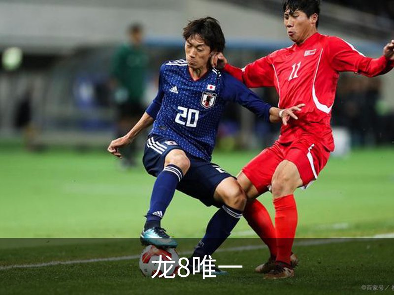 龙8唯一介绍